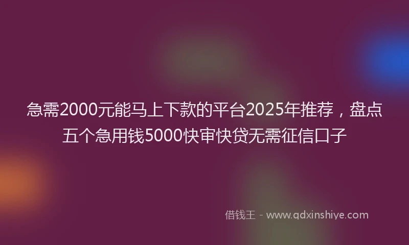 急需2000元能马上下款的平台2025年推荐，盘点五个急用钱5000快审快贷无需征信口子