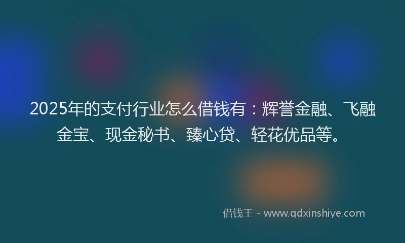 2025年的支付行业怎么借钱有：辉誉金融、飞融金宝、现金秘书、臻心贷、轻花优品等。