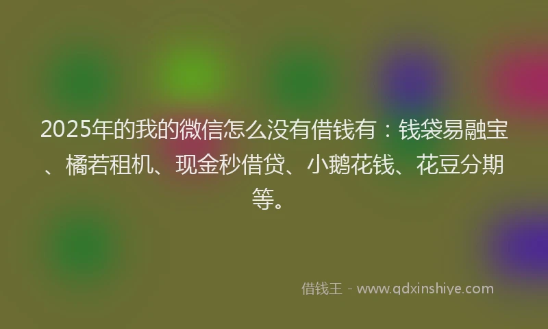 2025年的我的微信怎么没有借钱有：钱袋易融宝、橘若租机、现金秒借贷、小鹅花钱、花豆分期等。
