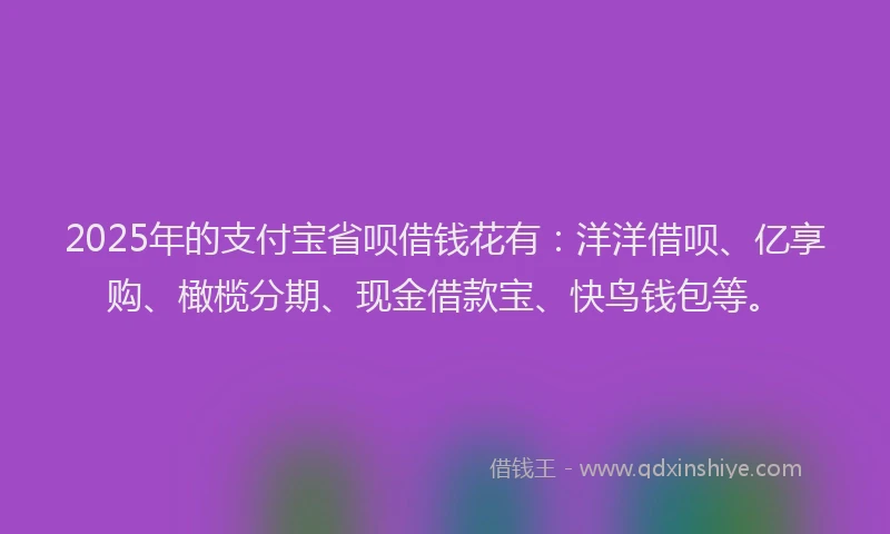 2025年的支付宝省呗借钱花有：洋洋借呗、亿享购、橄榄分期、现金借款宝、快鸟钱包等。