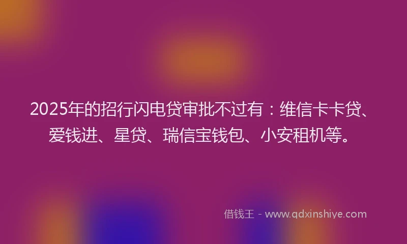 2025年的招行闪电贷审批不过有：维信卡卡贷、爱钱进、星贷、瑞信宝钱包、小安租机等。