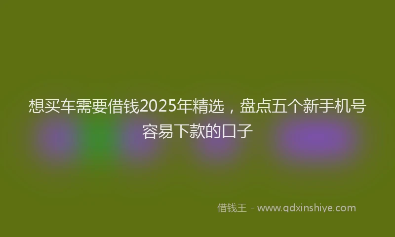 想买车需要借钱2025年精选，盘点五个新手机号容易下款的口子