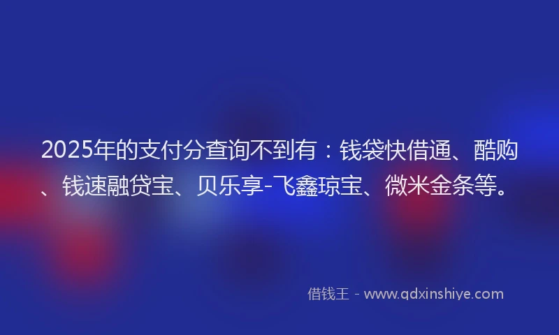 2025年的支付分查询不到有：钱袋快借通、酷购、钱速融贷宝、贝乐享-飞鑫琼宝、微米金条等。
