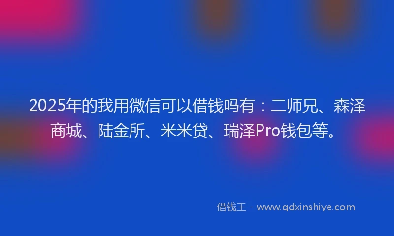 2025年的我用微信可以借钱吗有：二师兄、森泽商城、陆金所、米米贷、瑞泽Pro钱包等。