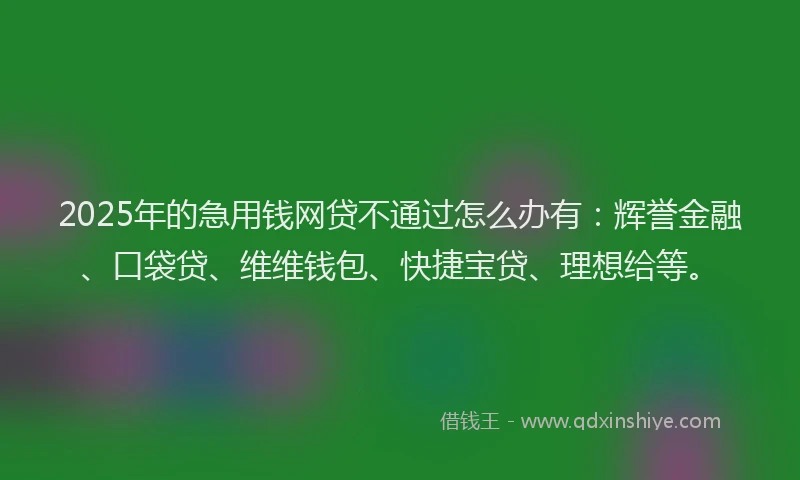 2025年的急用钱网贷不通过怎么办有：辉誉金融、口袋贷、维维钱包、快捷宝贷、理想给等。