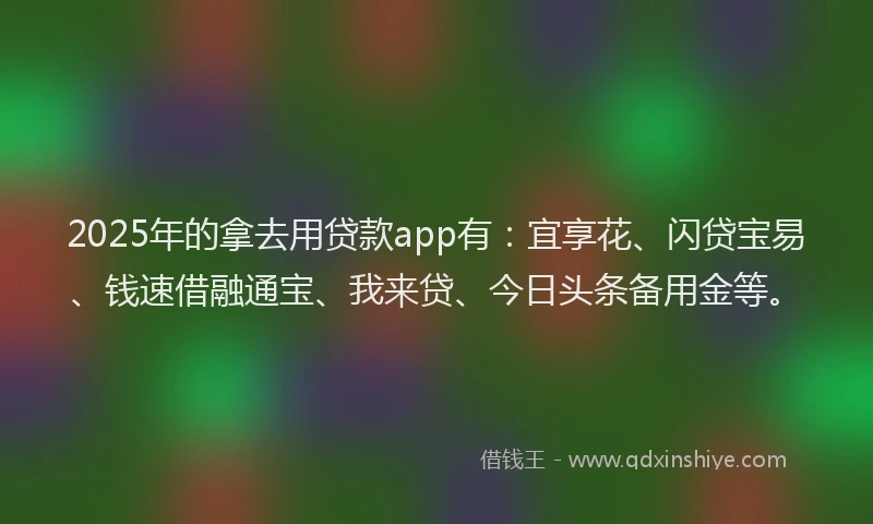 2025年的拿去用贷款app有：宜享花、闪贷宝易、钱速借融通宝、我来贷、今日头条备用金等。