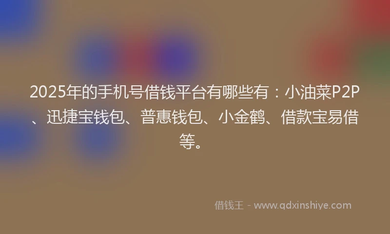 2025年的手机号借钱平台有哪些有：小油菜P2P、迅捷宝钱包、普惠钱包、小金鹤、借款宝易借等。