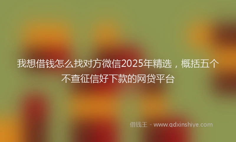我想借钱怎么找对方微信2025年精选，概括五个不查征信好下款的网贷平台
