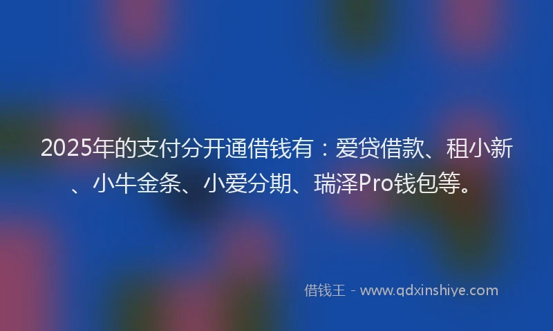 2025年的支付分开通借钱有：爱贷借款、租小新、小牛金条、小爱分期、瑞泽Pro钱包等。