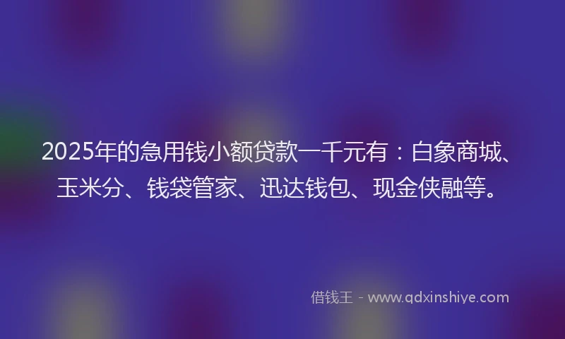 2025年的急用钱小额贷款一千元有：白象商城、玉米分、钱袋管家、迅达钱包、现金侠融等。