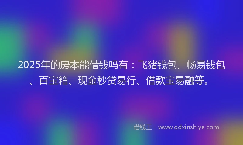 2025年的房本能借钱吗有：飞猪钱包、畅易钱包、百宝箱、现金秒贷易行、借款宝易融等。