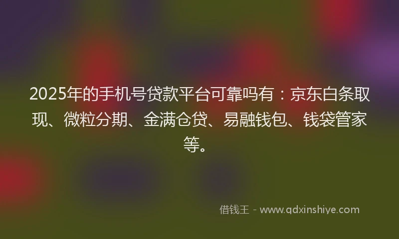 2025年的手机号贷款平台可靠吗有：京东白条取现、微粒分期、金满仓贷、易融钱包、钱袋管家等。