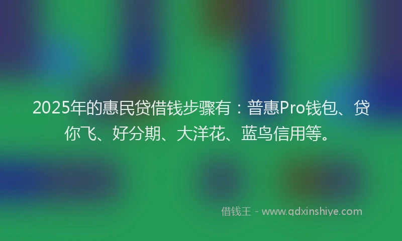 2025年的惠民贷借钱步骤有：普惠Pro钱包、贷你飞、好分期、大洋花、蓝鸟信用等。