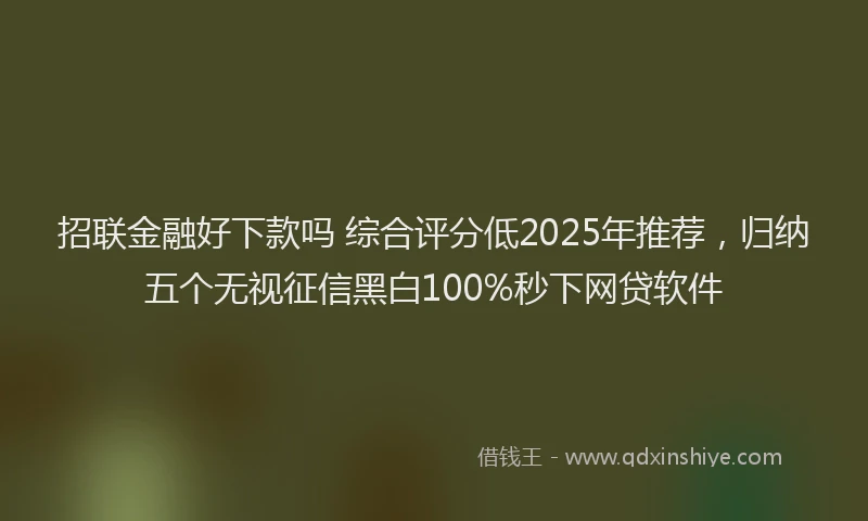 招联金融好下款吗 综合评分低2025年推荐，归纳五个无视征信黑白100%秒下网贷软件