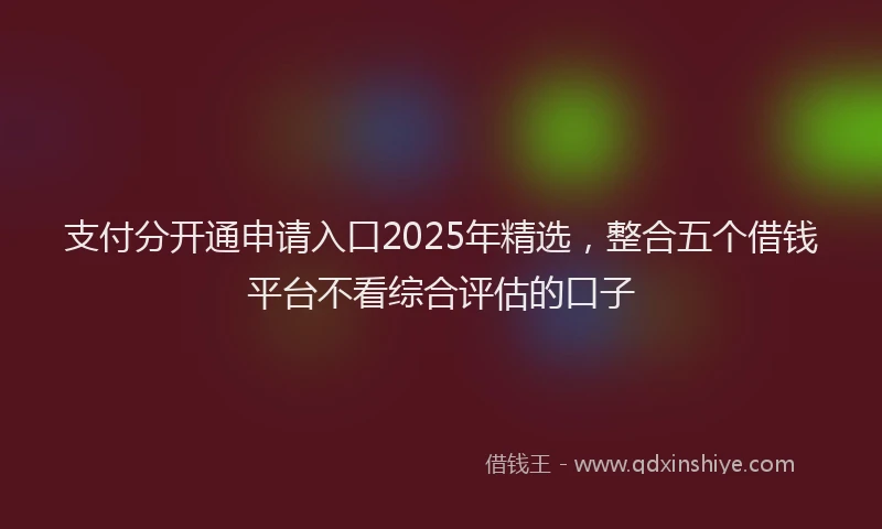 支付分开通申请入口2025年精选，整合五个借钱平台不看综合评估的口子