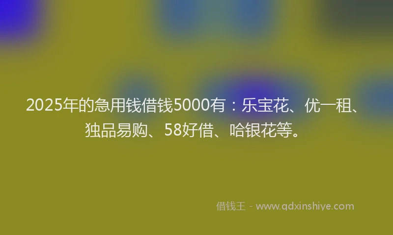 2025年的急用钱借钱5000有：乐宝花、优一租、独品易购、58好借、哈银花等。