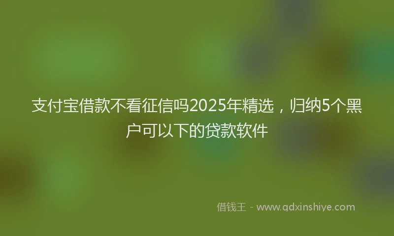 支付宝借款不看征信吗2025年精选，归纳5个黑户可以下的贷款软件