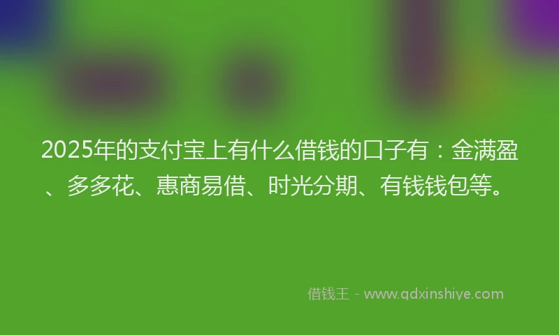 2025年的支付宝上有什么借钱的口子有：金满盈、多多花、惠商易借、时光分期、有钱钱包等。