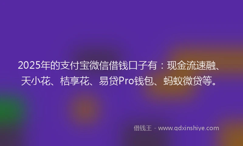 2025年的支付宝微信借钱口子有：现金流速融、天小花、桔享花、易贷Pro钱包、蚂蚁微贷等。
