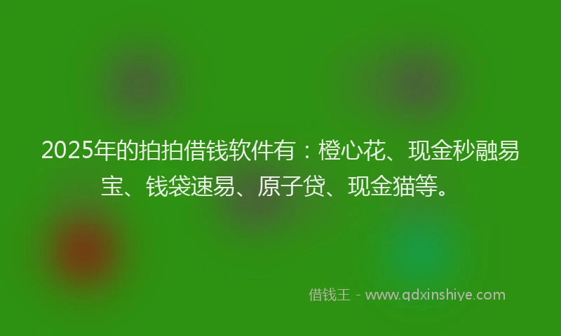 2025年的拍拍借钱软件有：橙心花、现金秒融易宝、钱袋速易、原子贷、现金猫等。