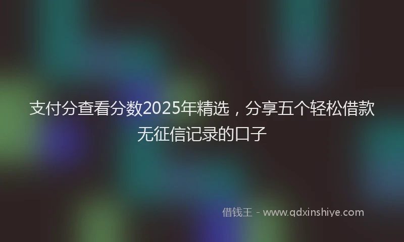 支付分查看分数2025年精选，分享五个轻松借款无征信记录的口子