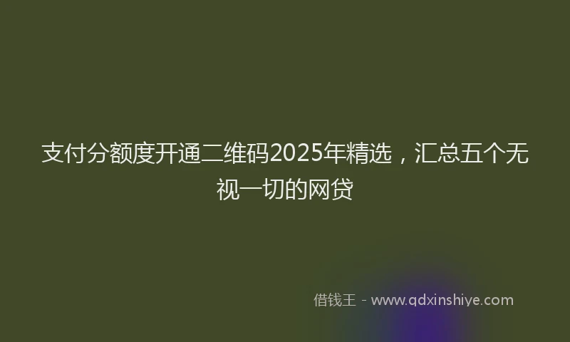 支付分额度开通二维码2025年精选，汇总五个无视一切的网贷