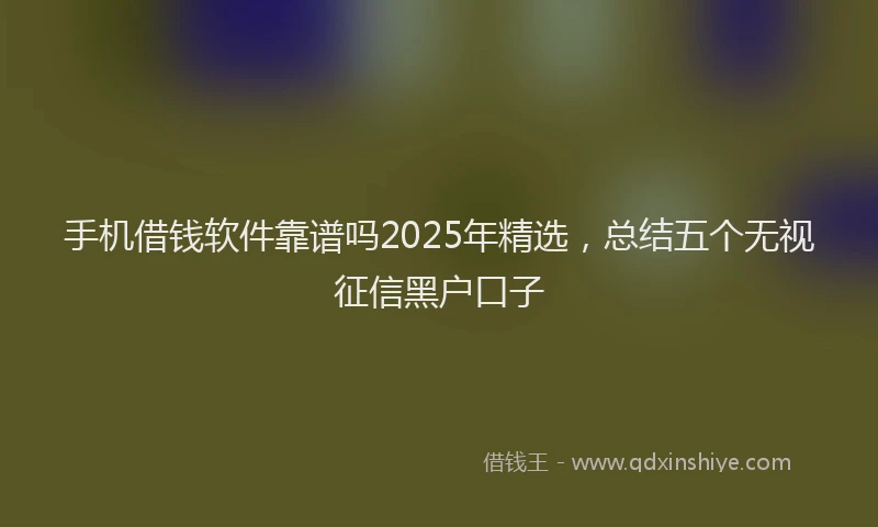 手机借钱软件靠谱吗2025年精选，总结五个无视征信黑户口子