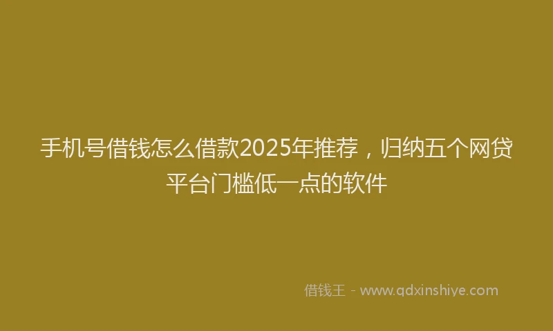 手机号借钱怎么借款2025年推荐，归纳五个网贷平台门槛低一点的软件