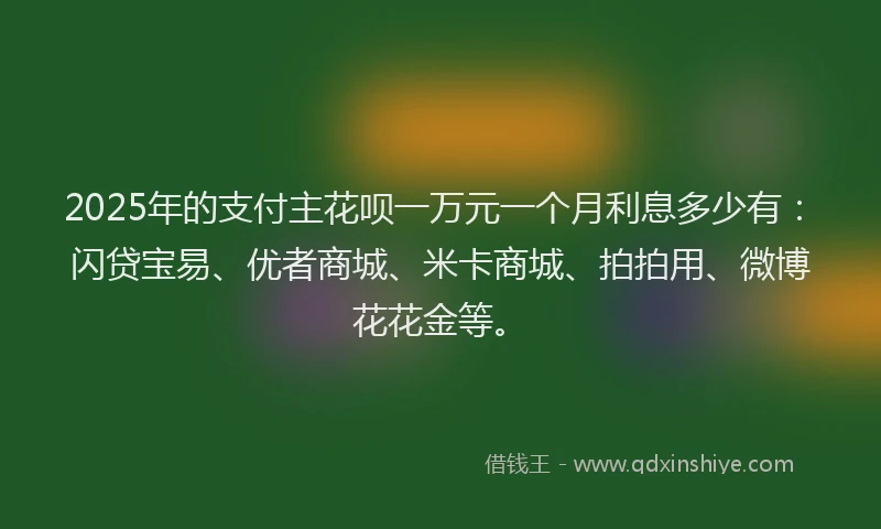 2025年的支付主花呗一万元一个月利息多少有：闪贷宝易、优者商城、米卡商城、拍拍用、微博花花金等。