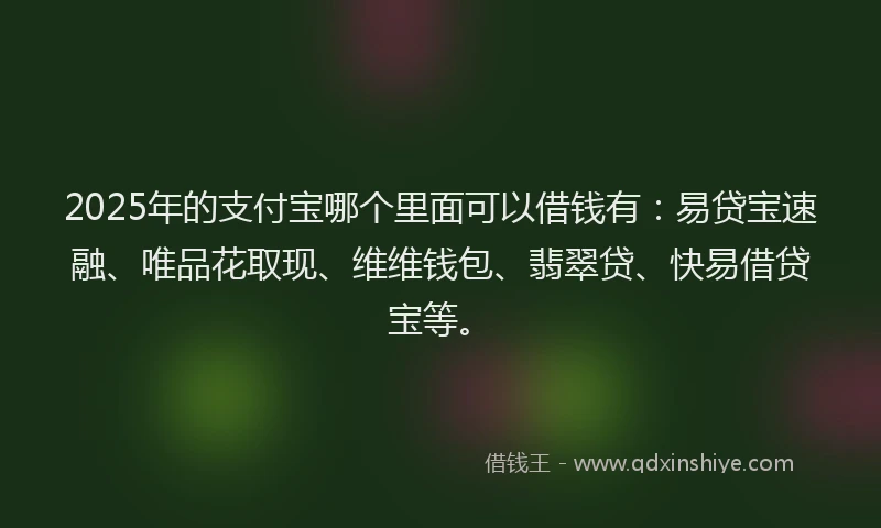 2025年的支付宝哪个里面可以借钱有：易贷宝速融、唯品花取现、维维钱包、翡翠贷、快易借贷宝等。