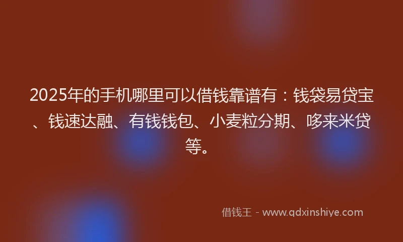 2025年的手机哪里可以借钱靠谱有：钱袋易贷宝、钱速达融、有钱钱包、小麦粒分期、哆来米贷等。