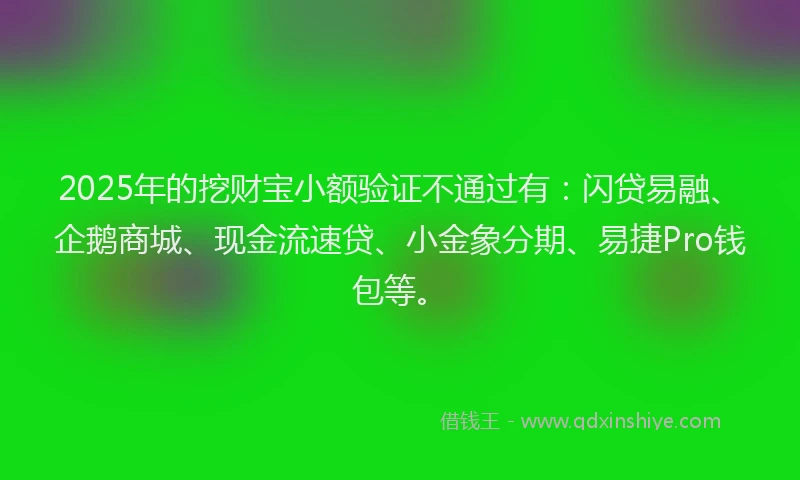 2025年的挖财宝小额验证不通过有：闪贷易融、企鹅商城、现金流速贷、小金象分期、易捷Pro钱包等。