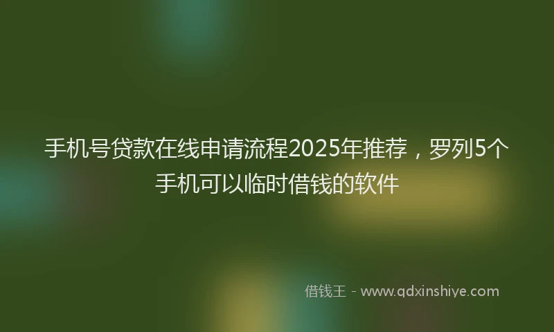 手机号贷款在线申请流程2025年推荐，罗列5个手机可以临时借钱的软件