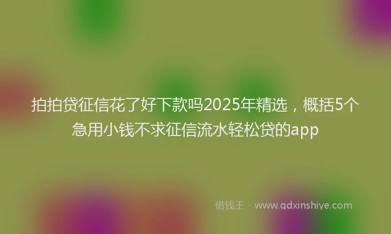 拍拍贷征信花了好下款吗2025年精选，概括5个急用小钱不求征信流水轻松贷的app
