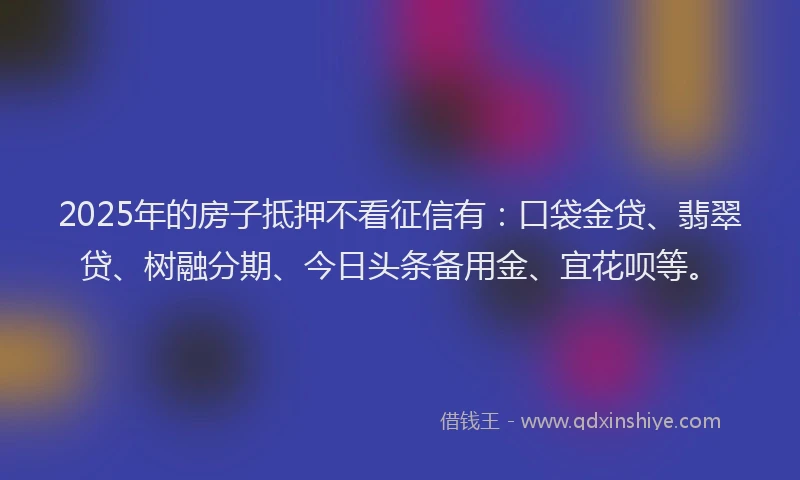 2025年的房子抵押不看征信有：口袋金贷、翡翠贷、树融分期、今日头条备用金、宜花呗等。