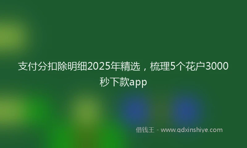 支付分扣除明细2025年精选，梳理5个花户3000秒下款app