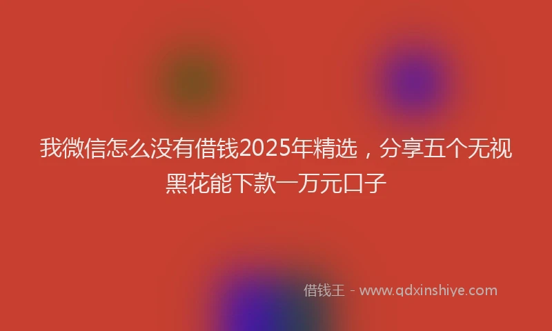 我微信怎么没有借钱2025年精选，分享五个无视黑花能下款一万元口子