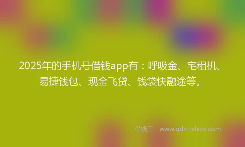 2025年的手机号借钱app有：呼吸金、宅租机、易捷钱包、现金飞贷、钱袋快融途等。