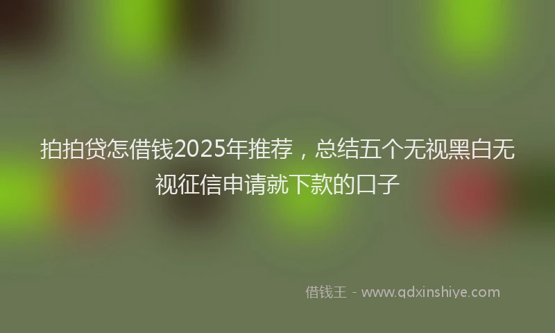 拍拍贷怎借钱2025年推荐，总结五个无视黑白无视征信申请就下款的口子