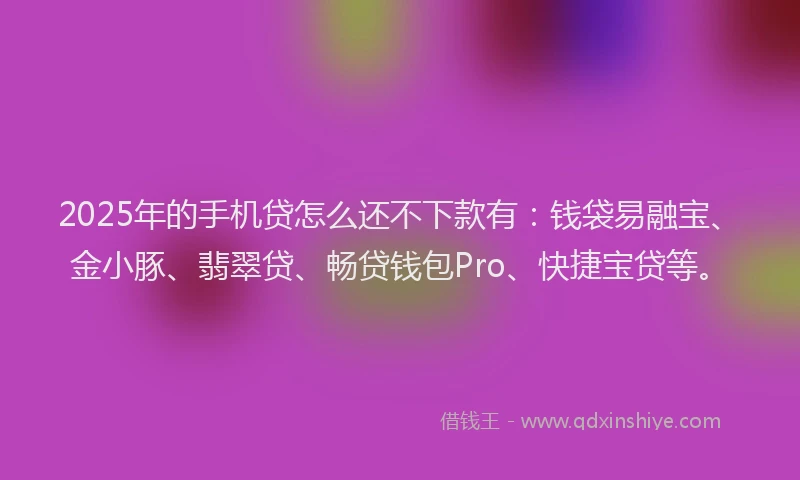 2025年的手机贷怎么还不下款有：钱袋易融宝、金小豚、翡翠贷、畅贷钱包Pro、快捷宝贷等。