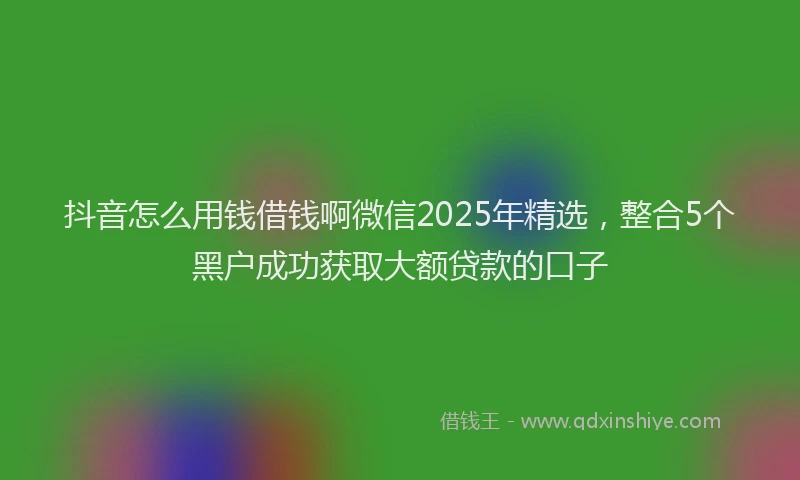 抖音怎么用钱借钱啊微信2025年精选，整合5个黑户成功获取大额贷款的口子
