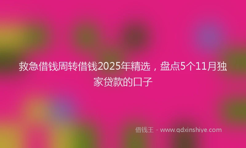 救急借钱周转借钱2025年精选，盘点5个11月独家贷款的口子