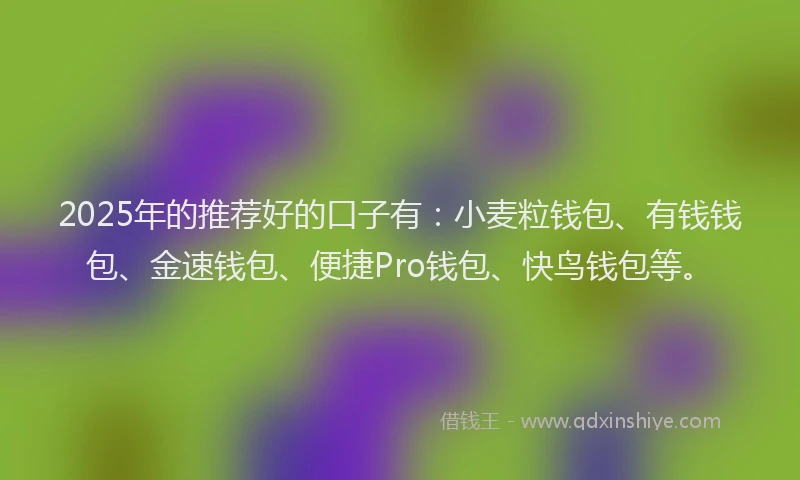 2025年的推荐好的口子有：小麦粒钱包、有钱钱包、金速钱包、便捷Pro钱包、快鸟钱包等。