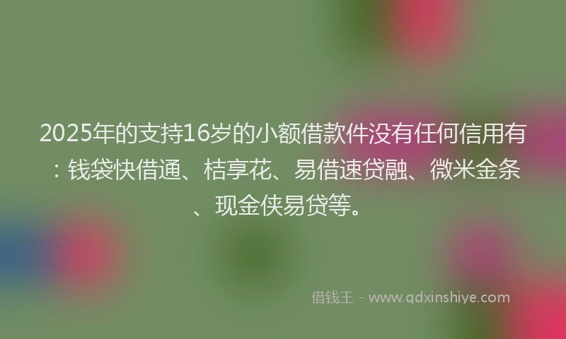 2025年的支持16岁的小额借款件没有任何信用有：钱袋快借通、桔享花、易借速贷融、微米金条、现金侠易贷等。