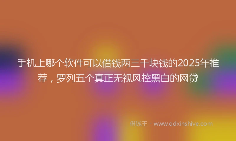 手机上哪个软件可以借钱两三千块钱的2025年推荐，罗列五个真正无视风控黑白的网贷