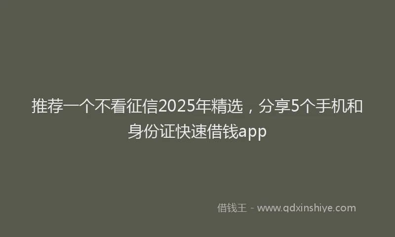 推荐一个不看征信2025年精选，分享5个手机和身份证快速借钱app