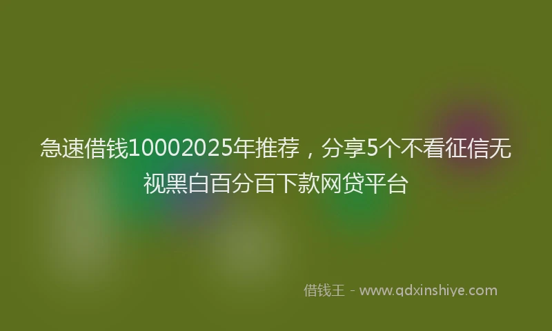 急速借钱10002025年推荐，分享5个不看征信无视黑白百分百下款网贷平台