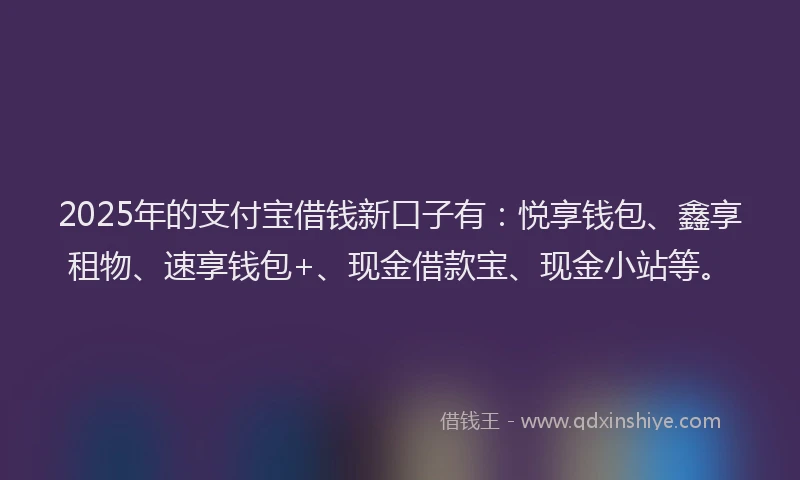 2025年的支付宝借钱新口子有：悦享钱包、鑫享租物、速享钱包+、现金借款宝、现金小站等。