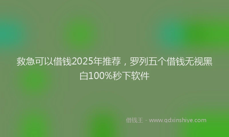 救急可以借钱2025年推荐，罗列五个借钱无视黑白100%秒下软件