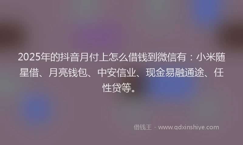 2025年的抖音月付上怎么借钱到微信有：小米随星借、月亮钱包、中安信业、现金易融通途、任性贷等。